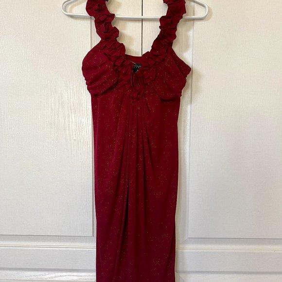 NEW With Tags Shimmery Enfocus Dress - Picture 1 of 3